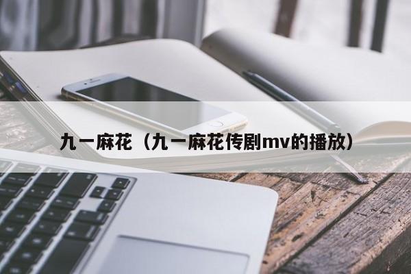 九一麻花（九一麻花传剧mv的播放）