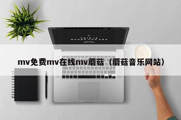 mv免费mv在线mv蘑菇（蘑菇音乐网站）